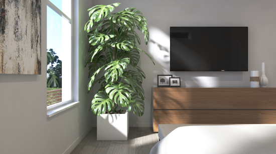 The Balance of Nature and Structure: Designing in Harmony with the Environment